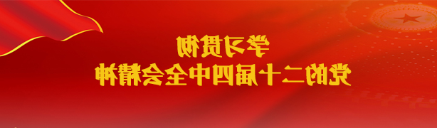 学习贯彻党的二十届四中全会精神